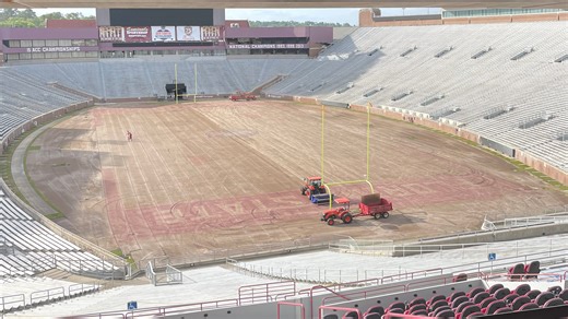 Florida State replacing grass across all athletic fields over next few months