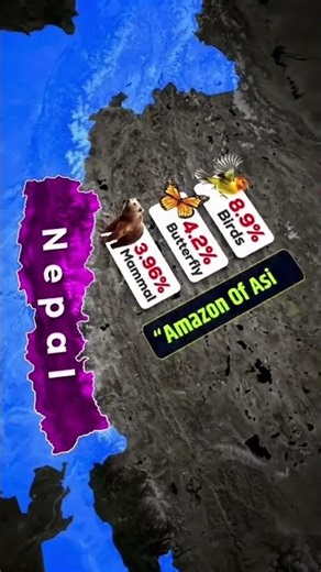 How Maps Conquered Your Mind (Documentary)