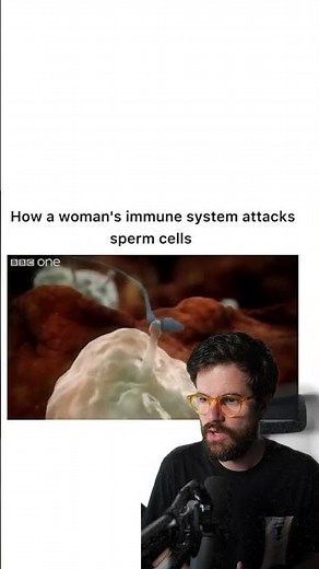 🔬🧬 Espermatozoides atrapados en el sistema reproductor femenino: lo que realmente ocurre