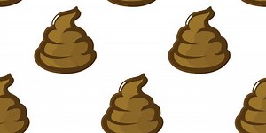 Everything You Need To Know About Fecal Transplants