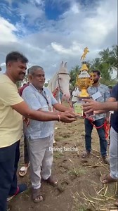 6.1K views · 1.2K reactions | அந்தியூர் சந்தையில் Rps stud farm திருப்பூர் வீரபாண்டி சார்ந்த nukara horse show போட்டியில் முதல் பரிசு வென்ற குதிரை #reels #shorts Video credited to rps stud form team | Driving Tamizha | Facebook