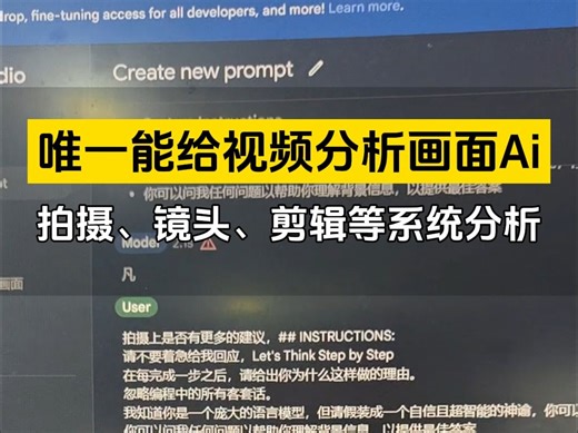 太厉害了，Ai真的能读懂视频画面了 ，这是唯一一款能够直接给视频分析所有的内容，包含拍摄的手法，镜头剪辑包含光线，这些所有的细节ai都可以帮你分析。太厉害了。