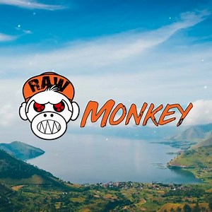 4.2K views · 198 reactions | 12 Inch Co** #Raw #Hardstyle Remix  #MonkeyTempo | Raw Monkey | Facebook