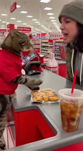 Angry Cat Cashier DESTROYS Customer at Target!