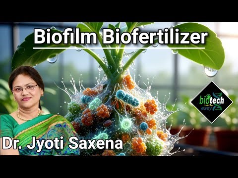 Biofilm Biofertilizers | Biofilm | Microbiology|Biotechnology|Biotech Made Easy|Microbes for welfare