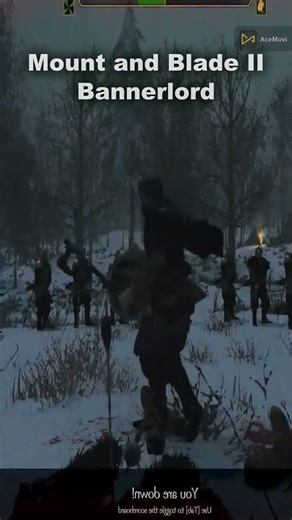 Mount and Blade II Bannerlord online