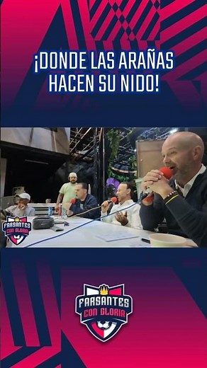 ¡Donde las arañas hacen su nido!