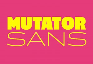 Variable Fonts on the Web, Explained