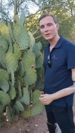 Sometimes I forget I don’t have any feeling in my prosthetic arm 🤣🤣 #amputee #amputeelife #tripleamputee #humour #joke #armamputee | Christoffer Lindhe - Triple Amputee