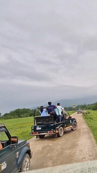 Rhino Close Encounter | Kaziranga