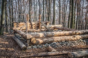 How to Build a Log Cabin from Trees