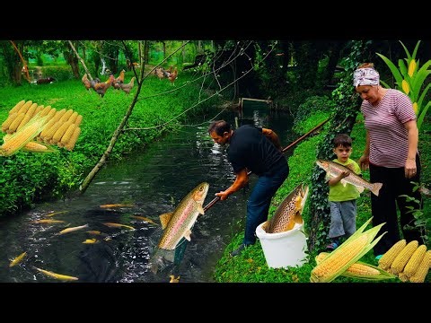 Fish Farm | Fresh Corn-Stuffed Fish Cooked in Countryside Style | Rural Life