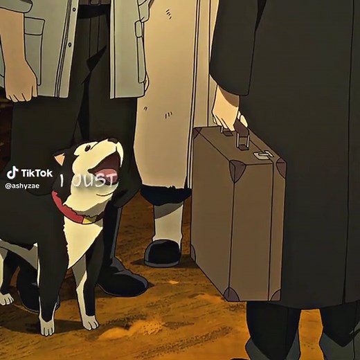 Become a Dog Expert with Black Hayate from Full Metal Alchemist
