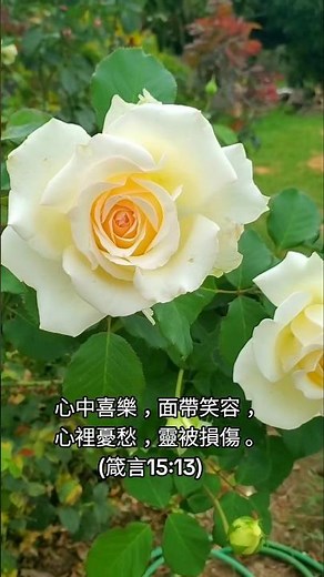 箴言 Proverbs 15:13