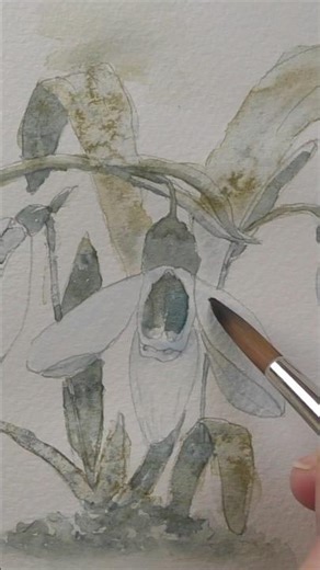 Grey days? Paint snowdrops! #watercolourforbeginners #snowdrops #watercolorpainting
