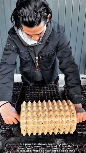 Seed Tray Seeding Work Tool Using Manual Roller #worktool