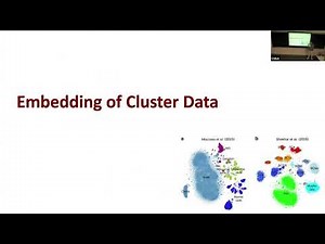 Rong Ma | Modern Nonlinear Embedding Methods Unpacked
