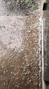 30K views · 150 reactions | More from today’s rain and hail storm in Covington ... | Covington News | Facebook
