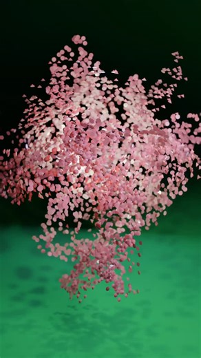 augury on Instagram: "Master the point cloud mesh reveal in Blender using this straightforward Geometry Nodes setup. By distributing points on faces and driving their position with a 4D noise texture, we can create a complex particle-to-mesh transition that looks high-end but is incredibly easy to build. This tutorial covers how to use scene time and float curves to control the flow of the reveal, ensuring your animation feels smooth and cinematic. Perfect for logos or character reveals, this pr