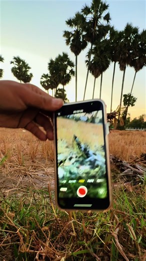 Experience the Khmer Version of Roller Coaster Fun