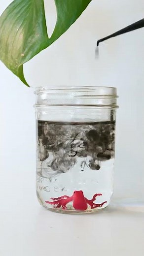 Octopus Ink STEM Activity