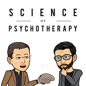 The Science of Psychotherapy : SOP 6: Bruce Ecker and the science of memory reconsolidation part 2 | The Science of Psychotherapy