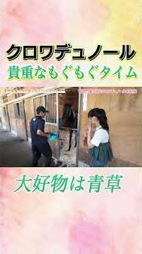 #競馬 #菅井友香 #クロワデュノール