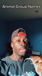 1.4M views · 73K reactions | #animals #nature #cute | Casual Geographic | Facebook