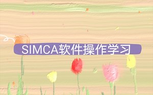 【SIMCA操作方法】香港理工大学博士师姐耐心讲解