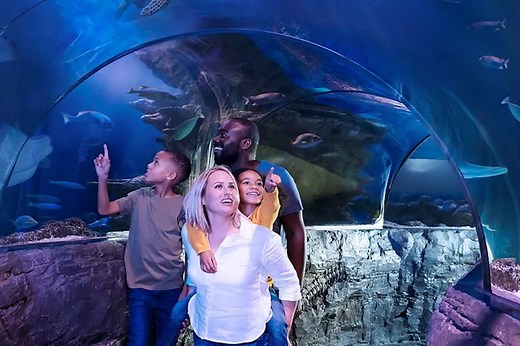 Top Merlin attractions around the UK (for every age group) - Netmums