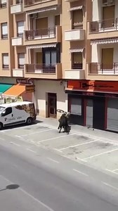 559K views · 1.6K reactions | Caption this 藍藍藍 ⬇️ By @khaby00   #comedy  #bikes  #ride  #wosbikes  #khabylame 藍 #299  #follow ✌ #motocycle ️ #sportbike  #superbike  #moto  #motorcycle  #amazing  | World Of Superbikes | Facebook