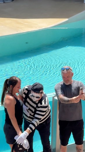 Tom the mime “hat” #hat #reels #funnymemes | MaR Leh