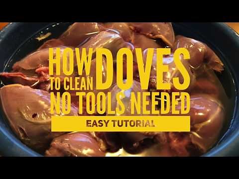 How to Clean Doves (Quick Easy Tutorial)