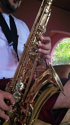 And I love her sax tenor #thebeatles #musica #saxofón