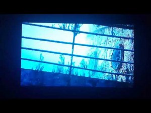 Shark Tale Chasing Scene