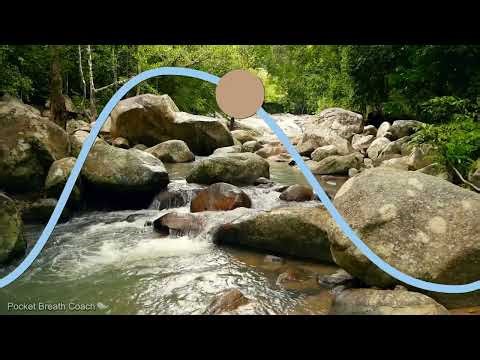 Reset Your Nervous System | 40/60 HRV Resonance Breathing