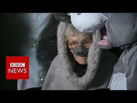 Woman, 98, plays donkey in nativity play - BBC News