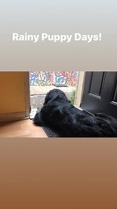 4.5K views · 325 reactions | Brian Sims on Reels | Facebook