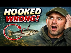 Your Live Minnow is INVISIBLE to Fish If You Do THIS.