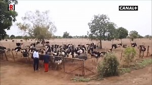 15K views · 235 reactions | V I D É️B u z Z ▪️Ceux ou celles qui...