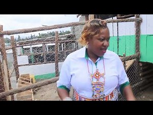 Sustainable Farming in Action:A tour of our sheep pen structure at Charis Farm Naivasha