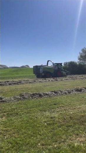 #ensilage #claas #farmingsimulator #fs19 #farming #fs25 #fs22 #agriculture