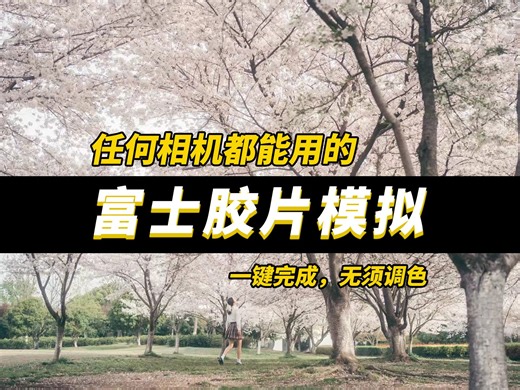 自研工具一键让所有相机都能使用富士/适马/理光的胶片模拟-TimelapseToolbox