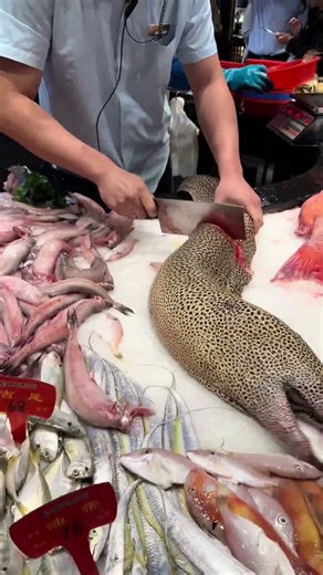 Moray Eels Night Ambush Attack #marinemystery #fishingequipment #fishinggear #food #shorts