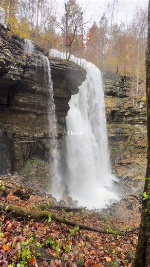 Here’s to hiking 160 miles this year! I know 2026 will bring on many more!🥾🥳 #hny #hiketok #getoutside #tennesseetrails