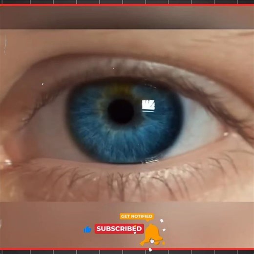 Rarely Found Things You Don't Know #shorts