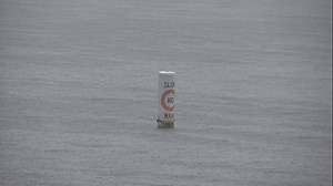 Tiger fans turn Las Vegas into a sea of purple and gold