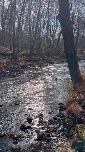 #shyfreestyler #dance #adore #prince #godismybody