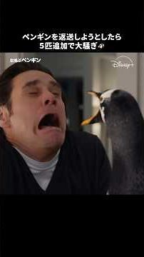ペンギン大量発生中🐧🐧🐧🐧🐧🐧｜空飛ぶペンギン｜Disney+ (ディズニープラス) #Shorts