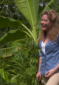 Rituals of the World S01:E01 - Papua New Guinea: The Fire Dance